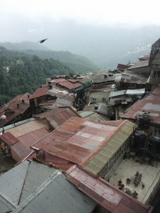 The roofs of Shimla India-Gregg