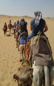team-on-camels-back-view
